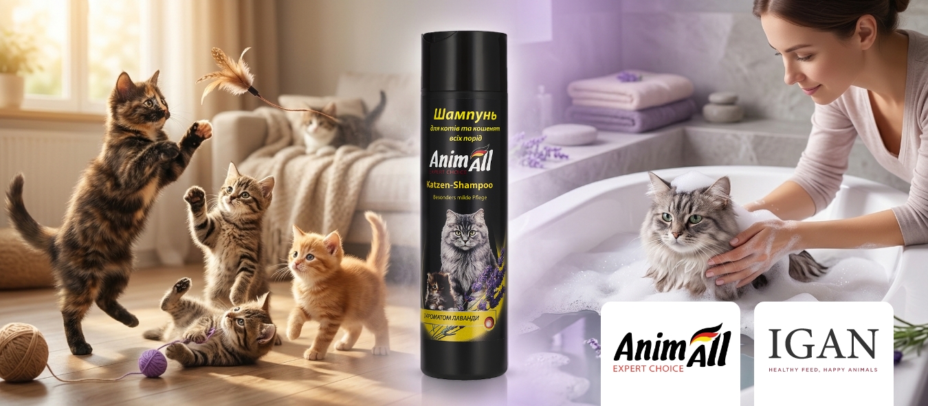 Описание изображения